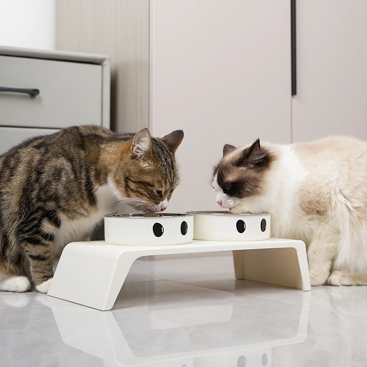 Mealtime at the Right Height