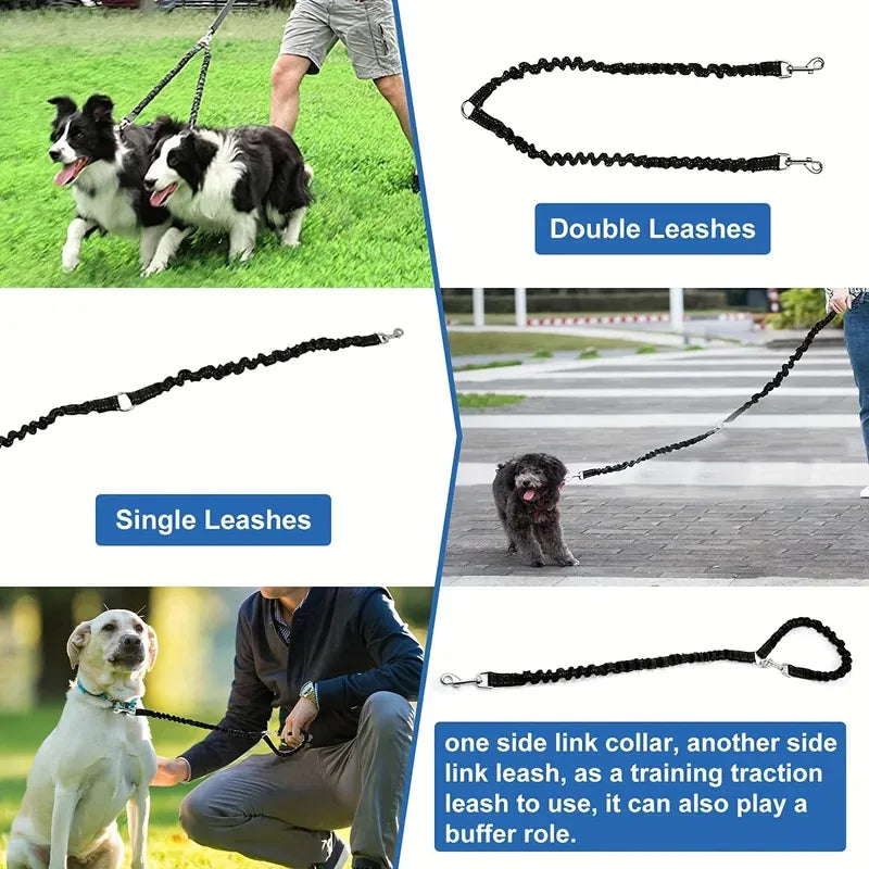 The Double Leash That Actually Works