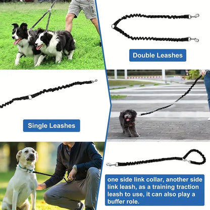 The Double Leash That Actually Works