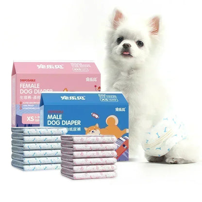 Disposable Dog Diapers — For When You Need Them