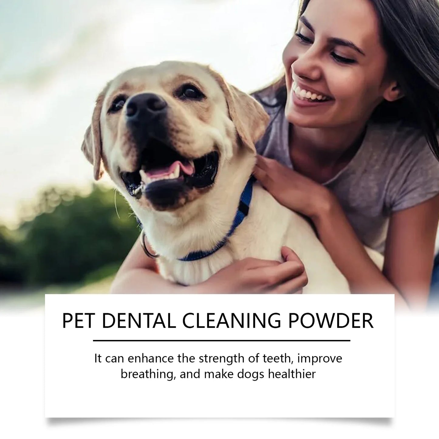 Dental Care Without the Fight