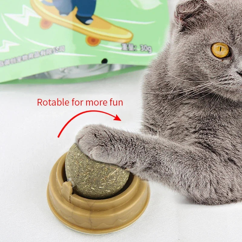 Natural Catnip Wall Stick-On Ball Toy for Cats — Digestive Health Treat