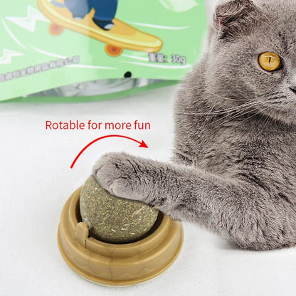 Natural Catnip Wall Stick-On Ball Toy for Cats — Digestive Health Treat