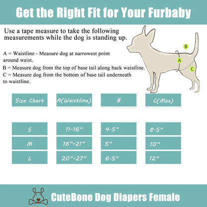Reusable Female Dog Diapers — 3 Pack