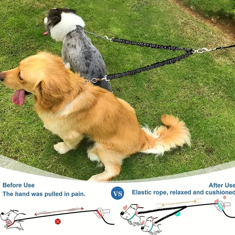 The Double Leash That Actually Works