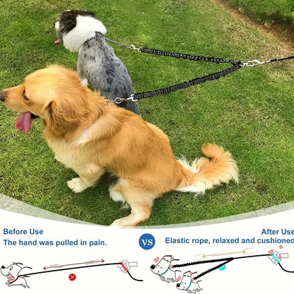 The Double Leash That Actually Works