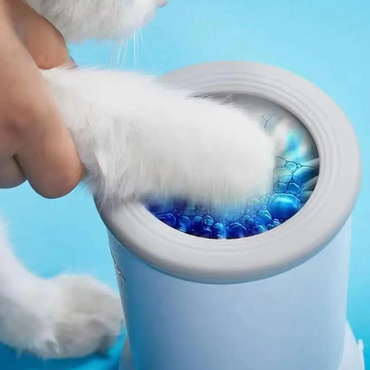 Clean Paws at the Door — Every Time