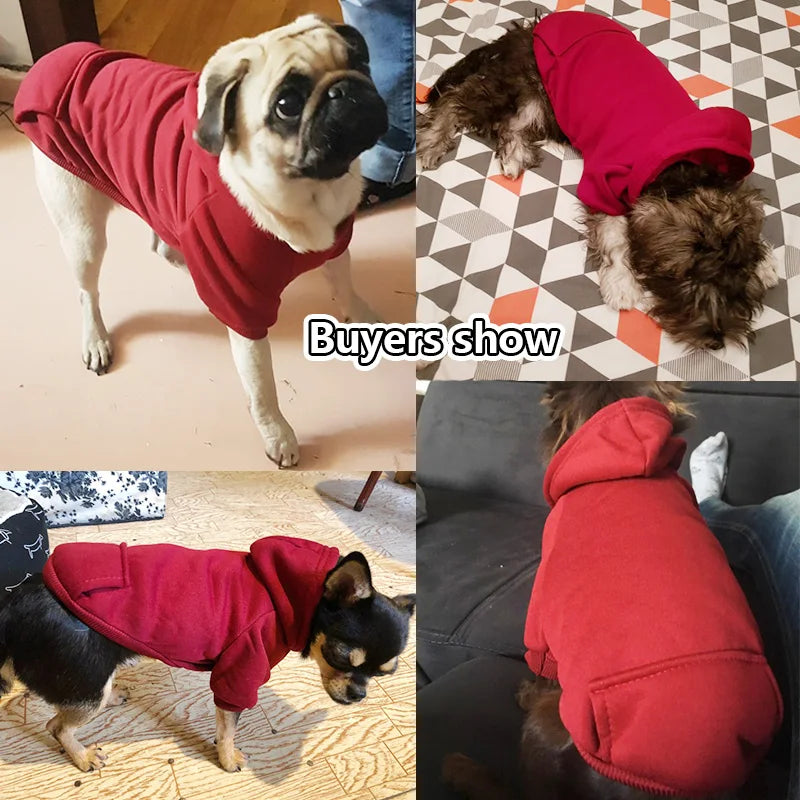 Warm, Soft, and Actually Comfortable