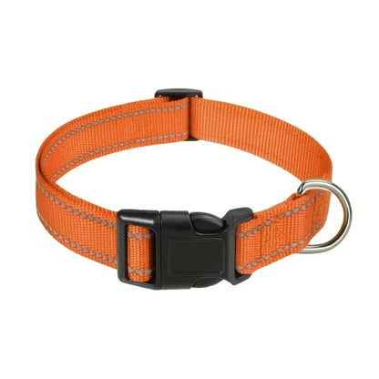 Visible on Every Walk