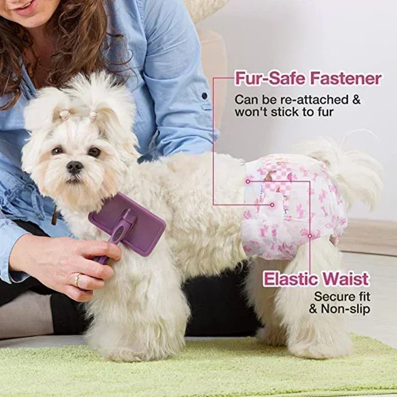 Disposable Dog Diapers — For When You Need Them