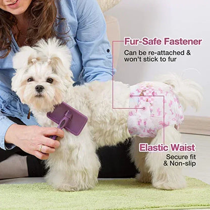 Disposable Dog Diapers — For When You Need Them