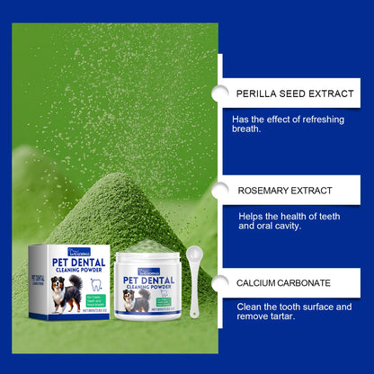 Dental Care Without the Fight