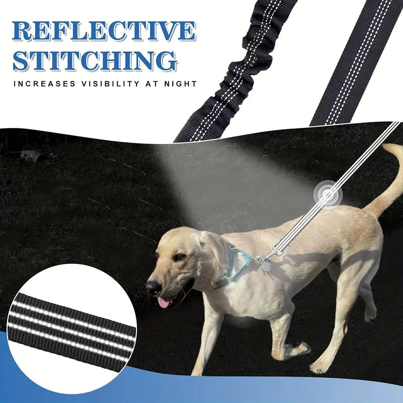 The Double Leash That Actually Works