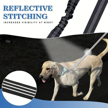 The Double Leash That Actually Works