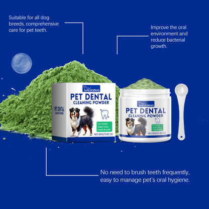 Dental Care Without the Fight