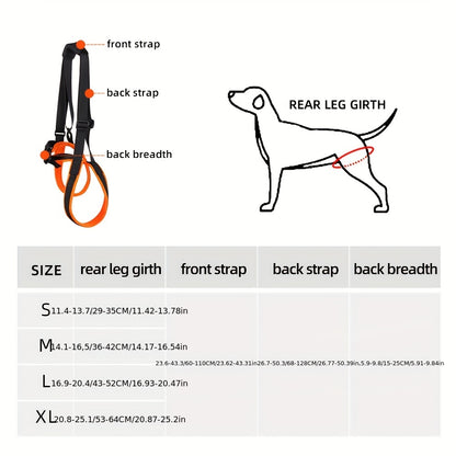 For the Dogs Who Need a Little Help
