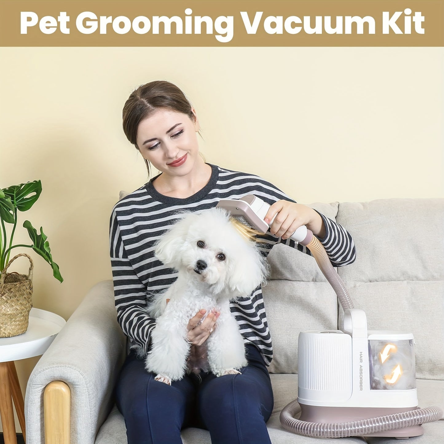 Groom at Home, Without the Chaos