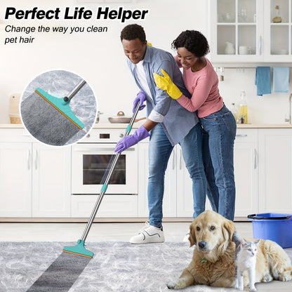 Pet Hair Out of Carpets — Without Getting on Your Knees