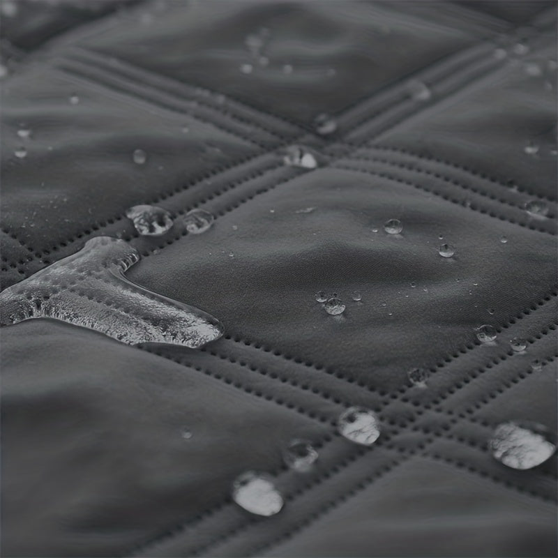 Let Them on the Sofa. Protect It Too.