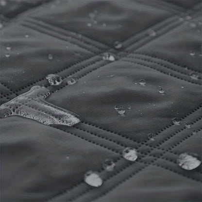 Let Them on the Sofa. Protect It Too.