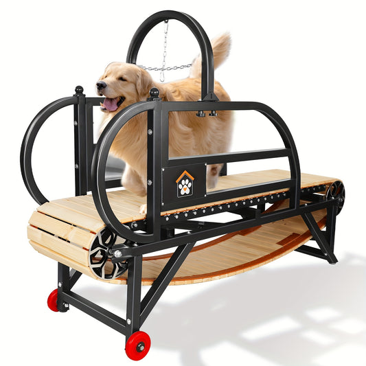 Serious Exercise for Serious Dogs