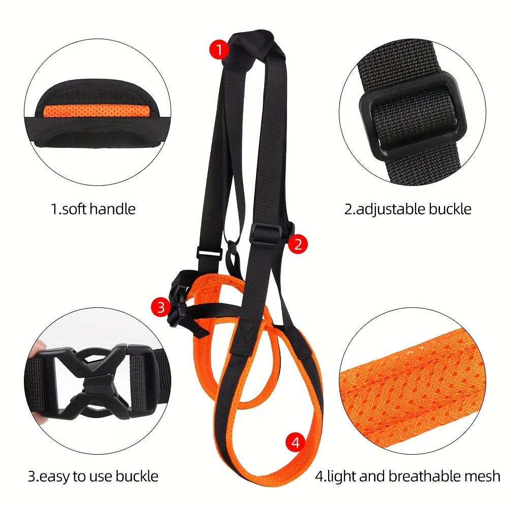 For the Dogs Who Need a Little Help