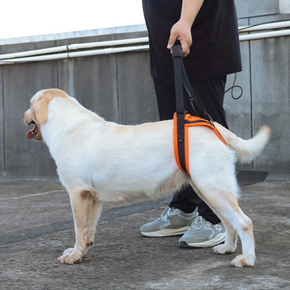 For the Dogs Who Need a Little Help