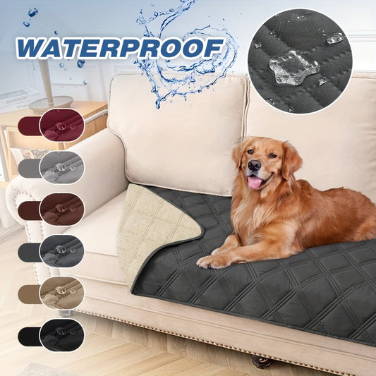 Let Them on the Sofa. Protect It Too.