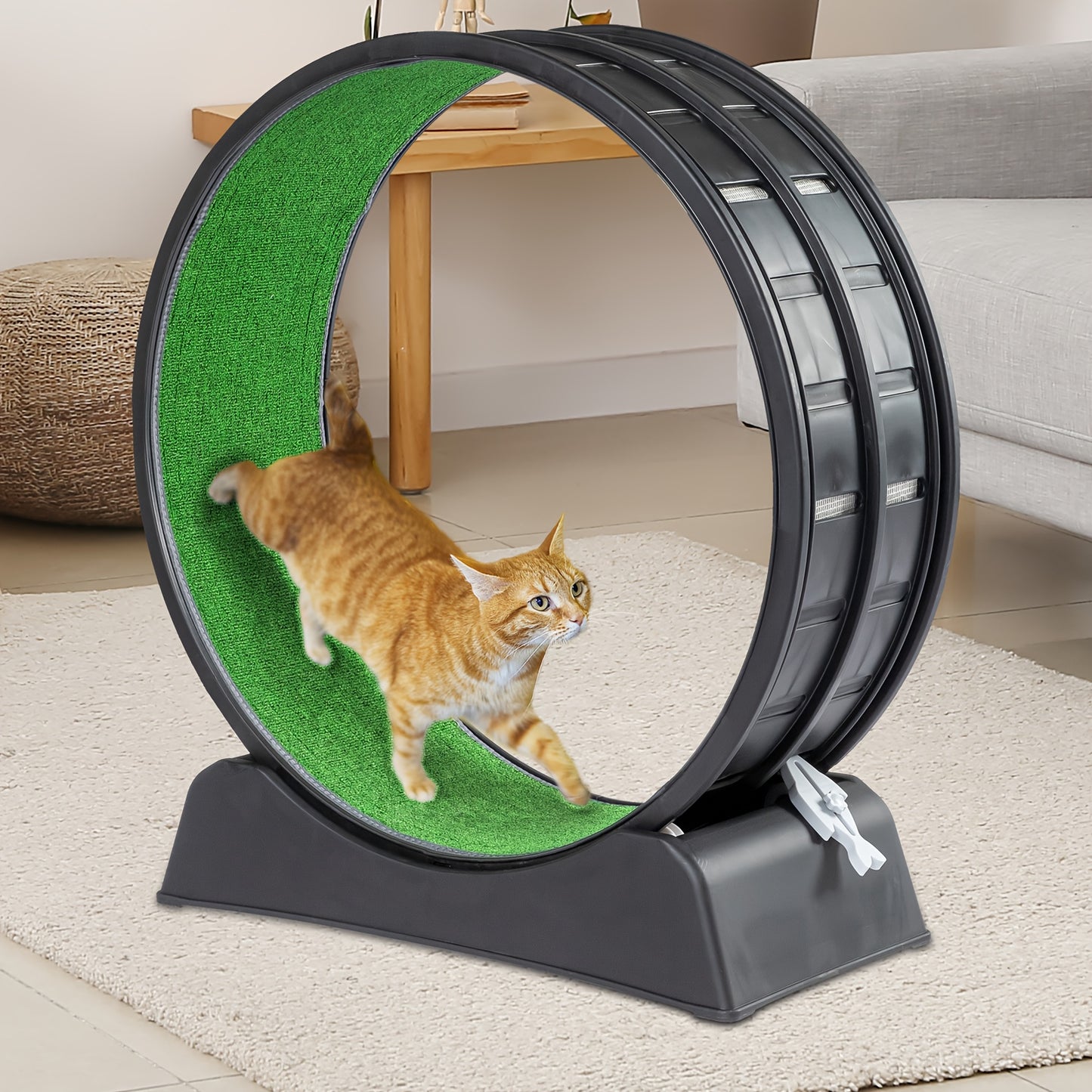 Run, Cat, Run