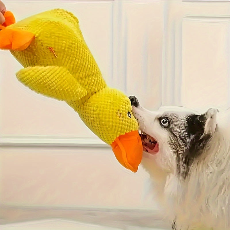 The Duck That Quacks Back