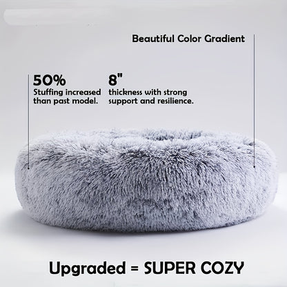 The Bed They'll Actually Use