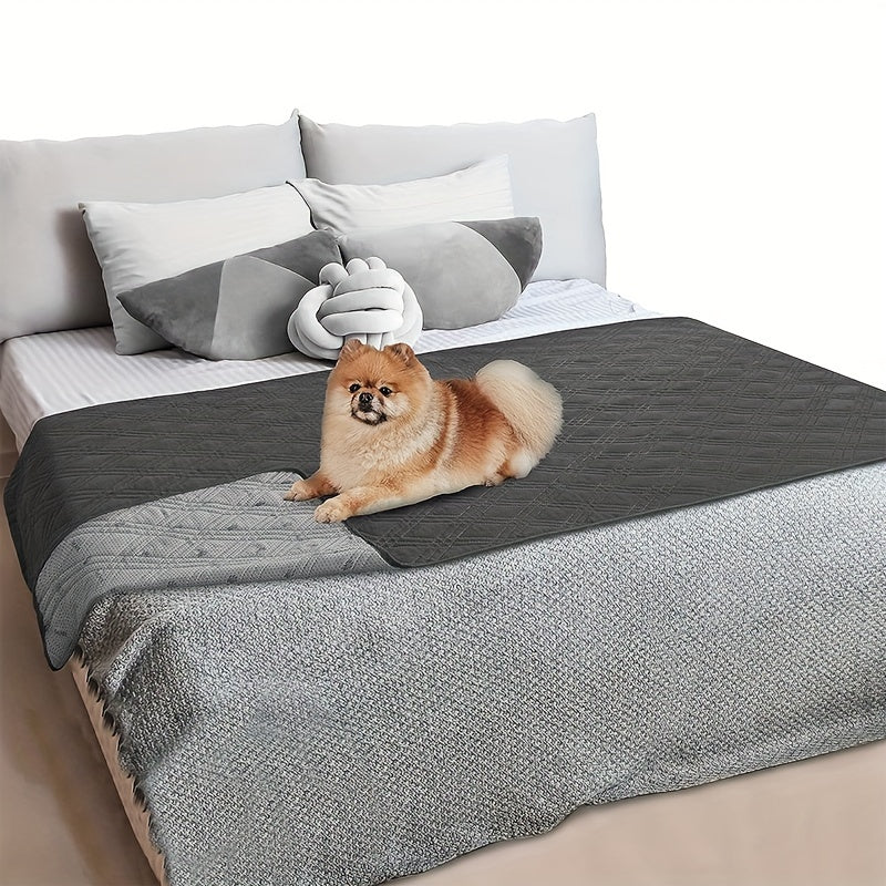 Let Them on the Sofa. Protect It Too.