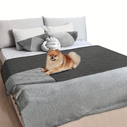 Let Them on the Sofa. Protect It Too.