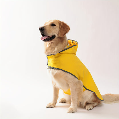 Two Looks, One Rainy Walk