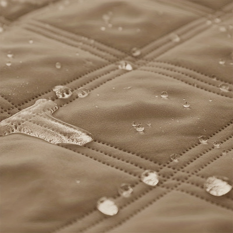 Let Them on the Sofa. Protect It Too.