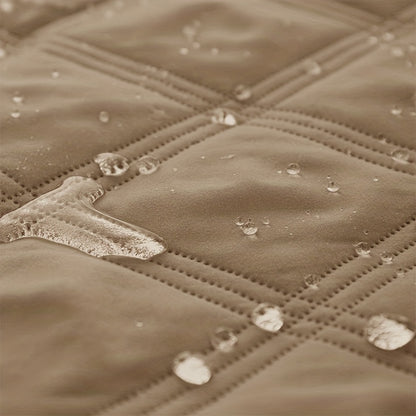 Let Them on the Sofa. Protect It Too.