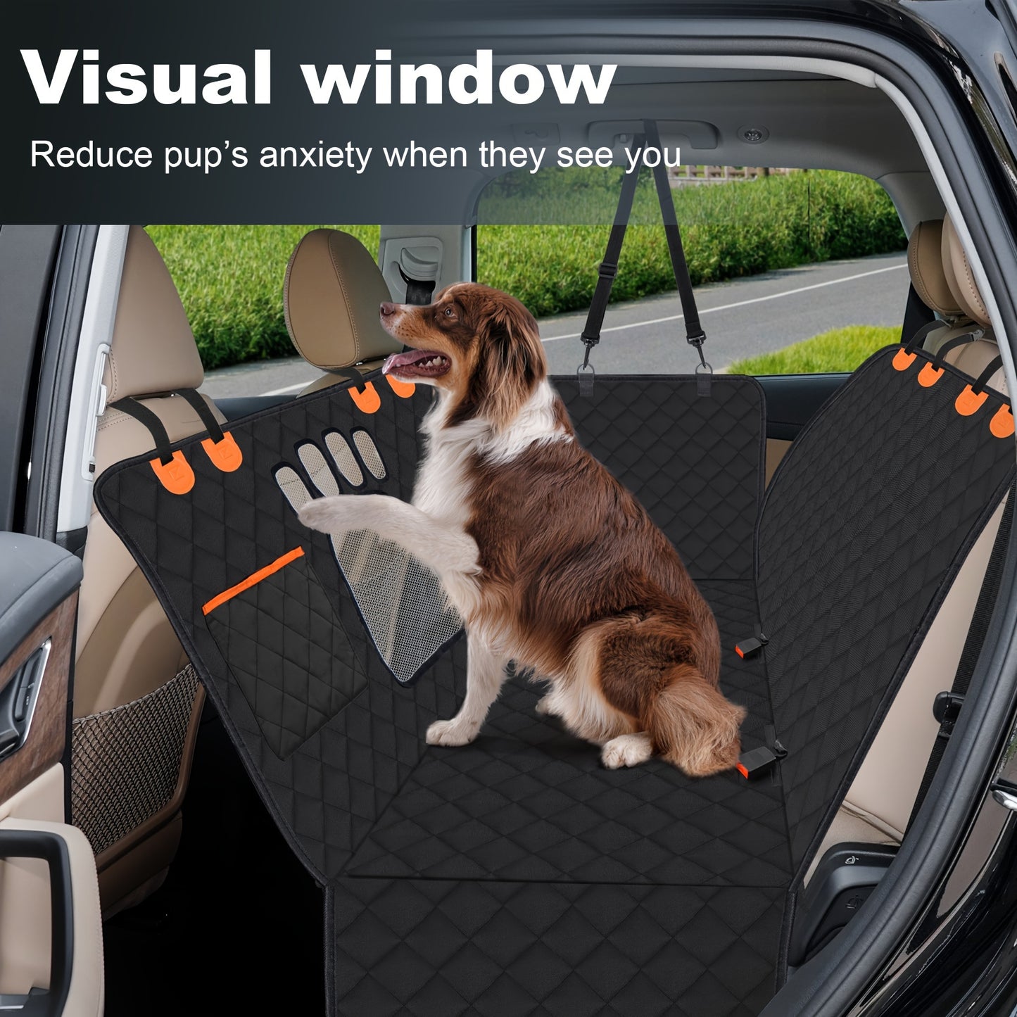 Your Backseat, Protected