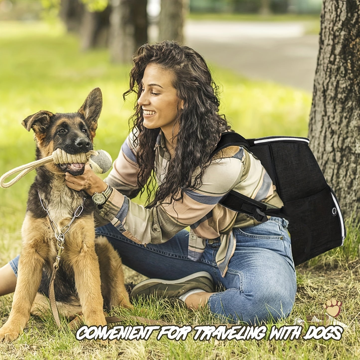 Carry-On Approved, Pet Approved