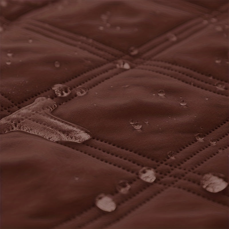 Let Them on the Sofa. Protect It Too.