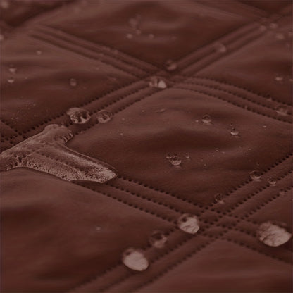 Let Them on the Sofa. Protect It Too.