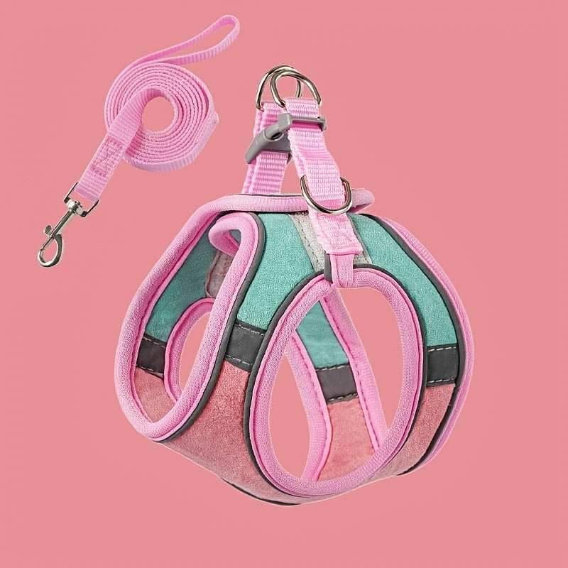 Adventure-Ready, Escape-Proof