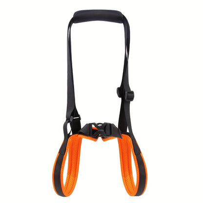 For the Dogs Who Need a Little Help