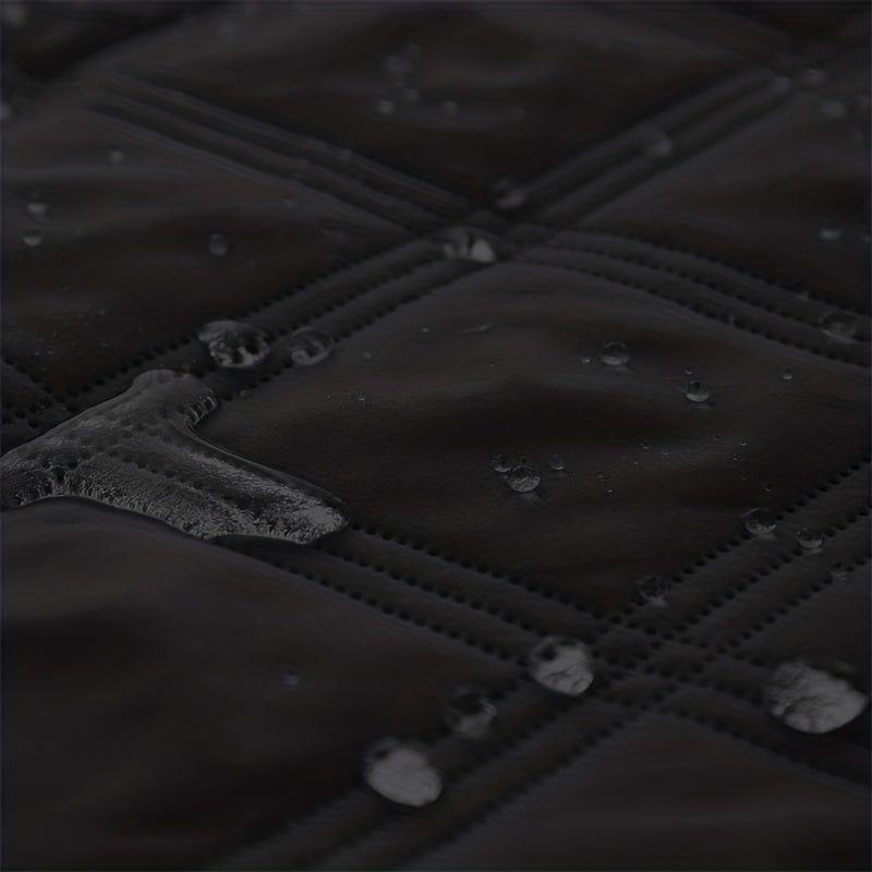 Let Them on the Sofa. Protect It Too.