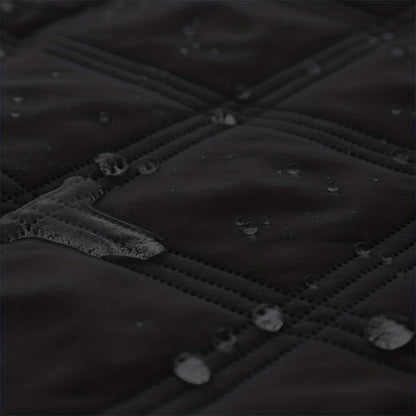 Let Them on the Sofa. Protect It Too.