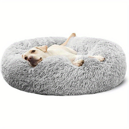 The Bed They'll Actually Use