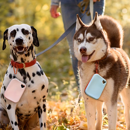 Treats Always Within Reach