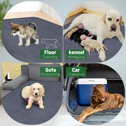 Protect the Floor, Skip the Waste